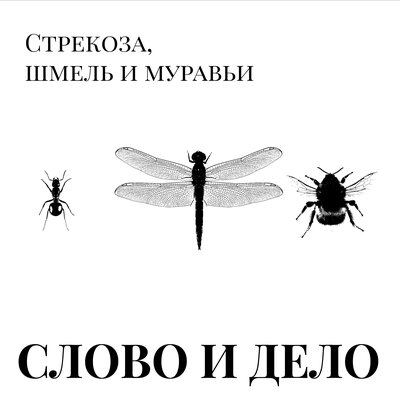 Скачать песню Слово и Дело - Стрекоза, шмель и муравьи