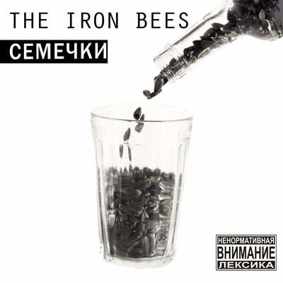 Скачать песню The Iron Bees - Продажная система