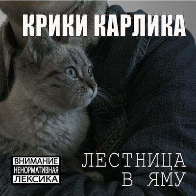 Скачать песню Крики Карлика - Деньги к деньгам