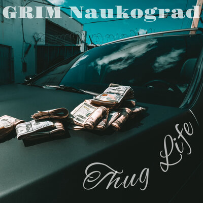 Скачать песню GRIM Naukograd - Thug Life