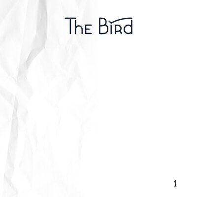 Скачать песню The Bird - Про уродов и людей